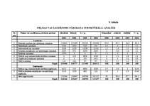 Referāts 'Finanšu riska novērtējums SIA A', 23.