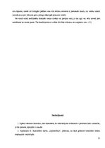 Referāts '20.gadsimta 20.-30.gadu totalitāro režīmu salīdzinājums', 16.