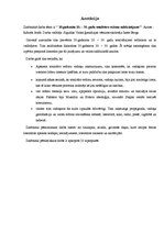 Referāts '20.gadsimta 20.-30.gadu totalitāro režīmu salīdzinājums', 21.