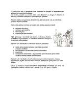 Referāts 'Inženierpsiholoģija, darba vides raksturojums un darbinieku atlases piemērs', 3.