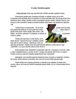 Prakses atskaite 'Koksnes mācība un meža prečzinība', 4.