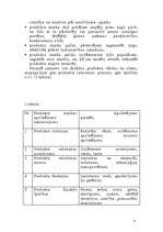 Referāts 'Mārketinga stratēģija uzņēmumā', 4.