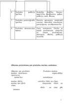 Referāts 'Mārketinga stratēģija uzņēmumā', 5.