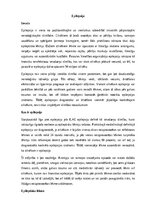 Referāts 'Epilepsija', 1.