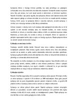 Referāts 'Epilepsija', 2.