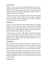 Referāts 'Epilepsija', 3.
