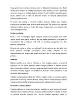 Referāts 'Epilepsija', 4.