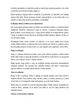 Referāts 'Epilepsija', 5.