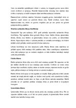 Referāts 'Epilepsija', 6.
