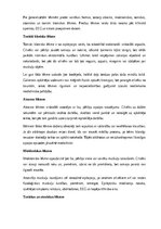 Referāts 'Epilepsija', 7.