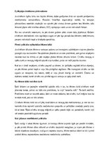 Referāts 'Epilepsija', 13.