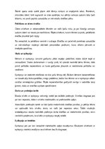 Referāts 'Epilepsija', 15.