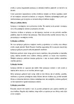 Referāts 'Epilepsija', 19.