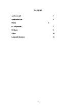 Referāts 'Āraišu ezerpils', 2.