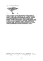 Referāts 'Āraišu ezerpils', 4.