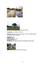 Referāts 'Āraišu ezerpils', 9.