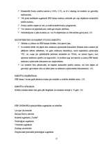 Referāts 'Studiju un studējošo kredīti', 17.