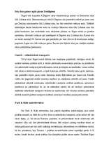 Referāts 'Sastrēgumu problēmu risinājumi Rīgā', 5.