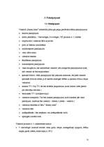 Diplomdarbs '"Extasy Hotel" viesnīcas projekta izstrāde', 10.