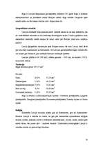 Diplomdarbs '"Extasy Hotel" viesnīcas projekta izstrāde', 16.