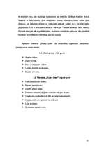 Diplomdarbs '"Extasy Hotel" viesnīcas projekta izstrāde', 23.