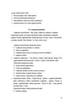 Diplomdarbs '"Extasy Hotel" viesnīcas projekta izstrāde', 30.