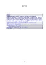 Referāts 'Uzņēmumu saplūšana', 1.