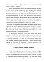 Referāts 'Krievu tuvcīņas sistēma', 8.