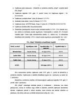 Prakses atskaite 'Profesionālās prakses pārskats', 5.