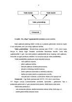 Prakses atskaite 'Profesionālās prakses pārskats', 6.