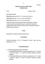 Prakses atskaite 'Profesionālās prakses pārskats', 17.