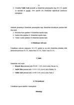 Prakses atskaite 'Profesionālās prakses pārskats', 18.