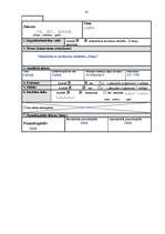 Prakses atskaite 'Profesionālās prakses pārskats', 21.