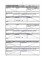 Prakses atskaite 'Profesionālās prakses pārskats', 22.