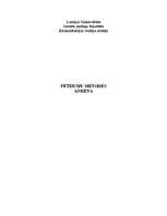 Konspekts 'Anketa', 1.