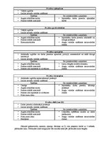 Biznesa plāns 'SIA “Klubs Lemisele”', 6.