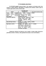 Biznesa plāns 'SIA “Klubs Lemisele”', 20.