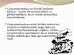 Prezentācija 'Gaisa piesārņojums', 7.