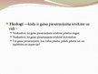 Prezentācija 'Gaisa piesārņojums', 17.