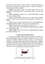 Referāts 'Zvaigžņu, zvaigznāju un citu debess objektu atpazīstamība sabiedrībā', 16.