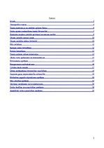 Referāts 'Gājeju tuneļa būvniecības organizēšana', 2.