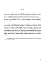 Referāts 'Gājeju tuneļa būvniecības organizēšana', 3.