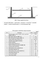 Referāts 'Gājeju tuneļa būvniecības organizēšana', 7.