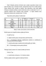 Referāts 'Gājeju tuneļa būvniecības organizēšana', 14.