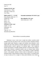 Referāts 'Gājeju tuneļa būvniecības organizēšana', 26.