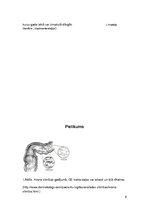 Konspekts 'Krona slimība', 9.