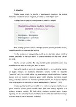 Referāts 'Atkarības bioloģija', 4.