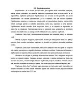 Paraugs 'SIA "Baby Style" komerciālā aprēķina pamata elementi', 6.