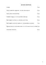 Referāts 'Ēģipte', 2.