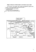 Referāts 'Ēģipte', 8.